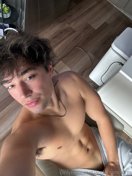 Andersonstorm nice pornstar img