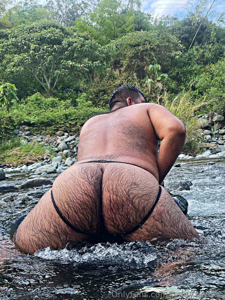 Teddy Bear05 model best galleries