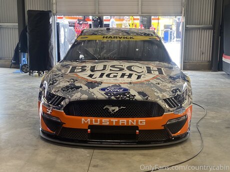 Countrycabin best star image