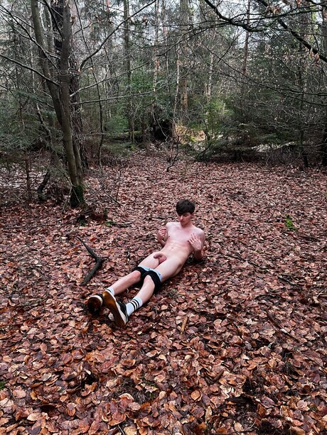 Thebeeb0i star pretty picture