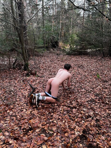 Thebeeb0i sexy pornstar img