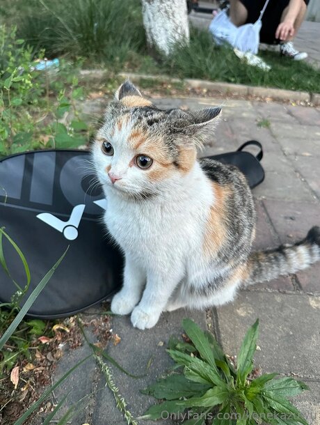 Konekazuwu top model image