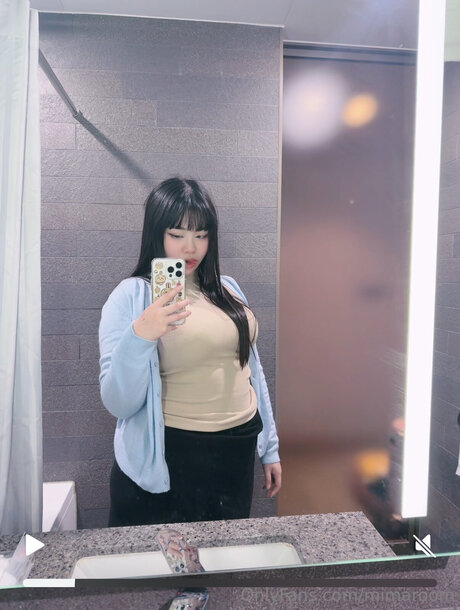 Mimaroom model nice photos