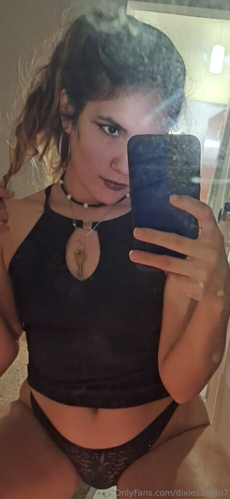 Dixiesantini7 model top archive