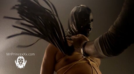 Mrprince Unlocked star nice pictures