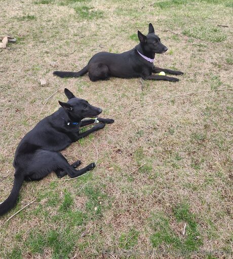 Kirstenkrawford pretty star pics