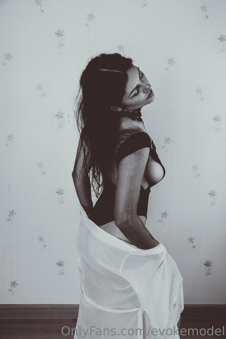 Evokemodel art star img