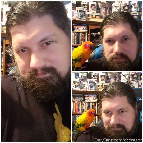 Dcdragon naked pornstar archive