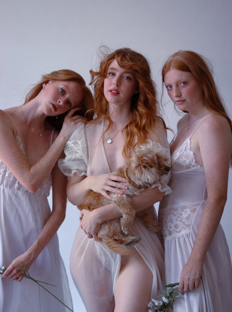 Lilianna Ruger top pornstar archive