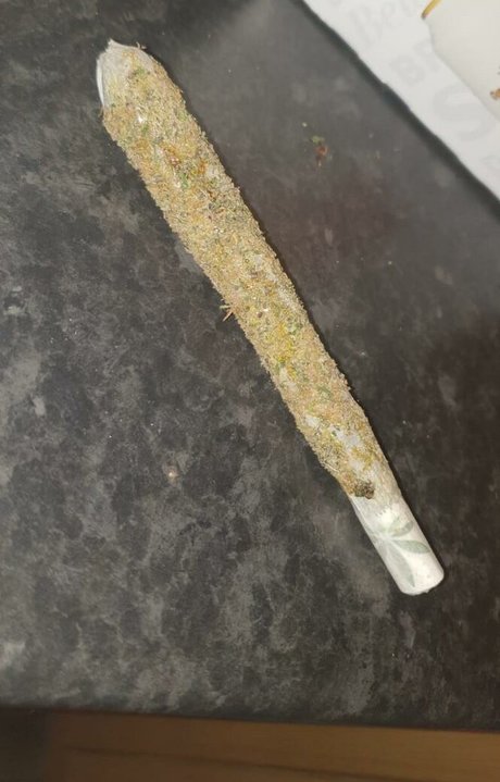 Aurora Indica pornstar naked pictures