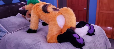 thepineapplefox nice star gallery