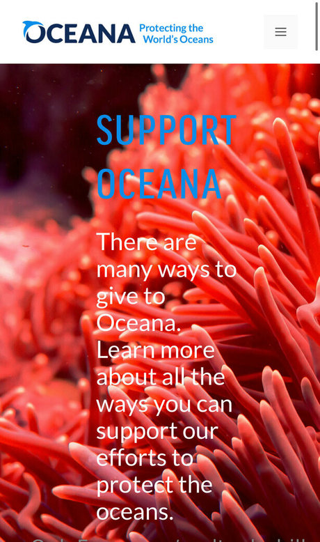 realtaylerhills beautiful model pics