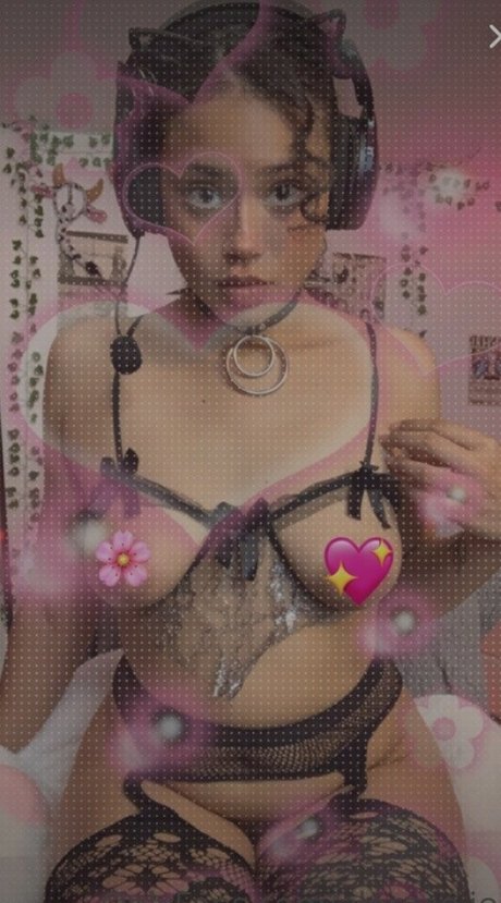 Hellazebra beautiful star gallery