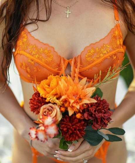 Allure By Ana star perfect img