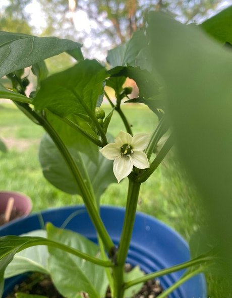 nude onlyfans hot naked pictures