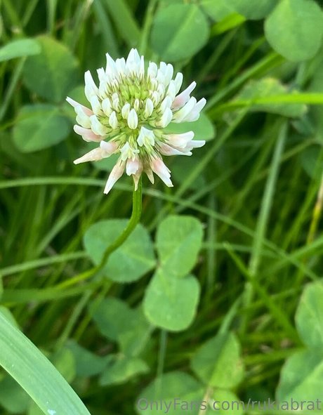 rukiabrat high quality model photos