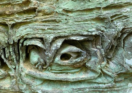 black bunny onlyfans hd galleries