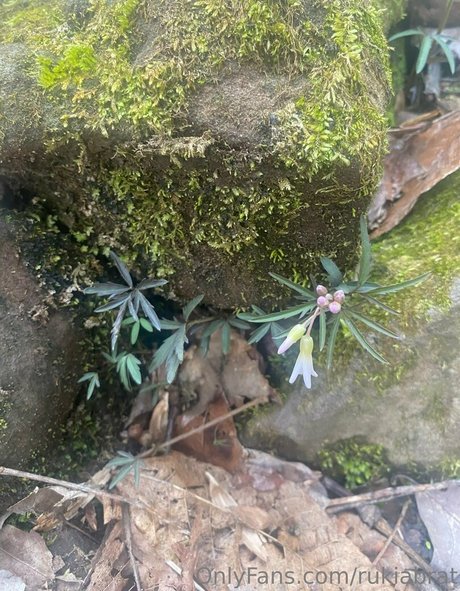 cute onlyfans beautiful images