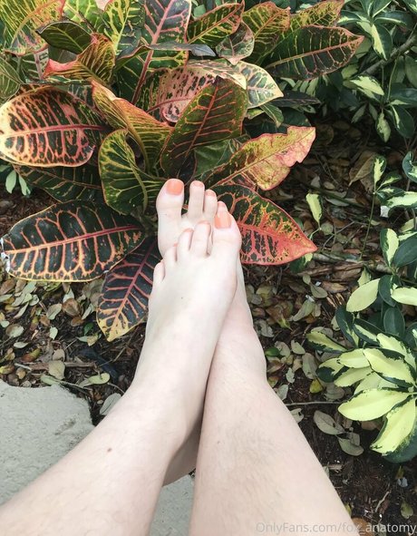 fox anatomy pornstar hot pics