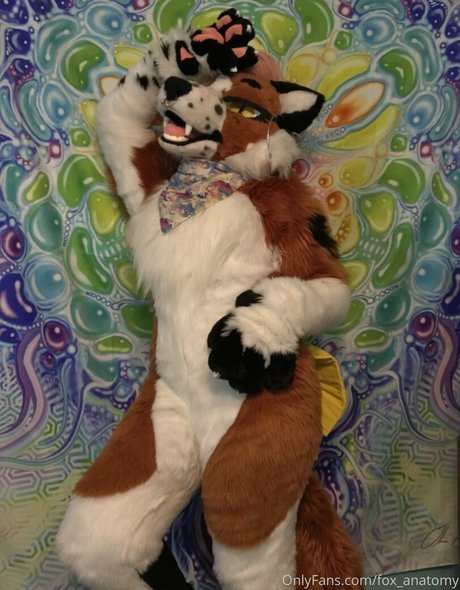 big ass pussy onlyfans free sex pics