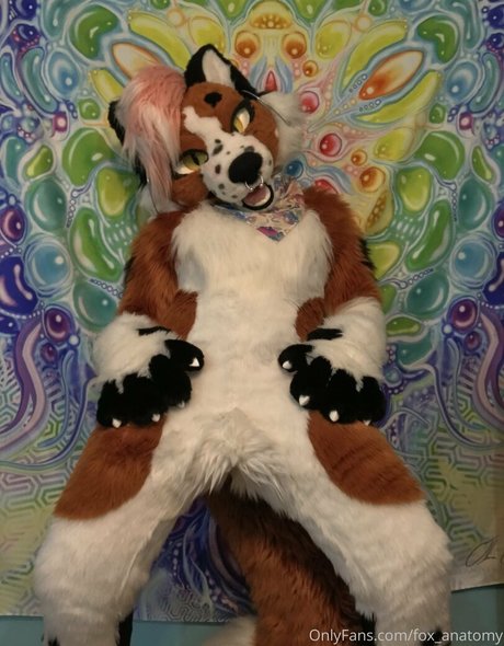 fox anatomy exclusive actress images