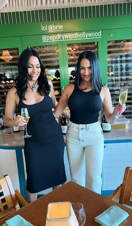 Nikki Bella nice actress images