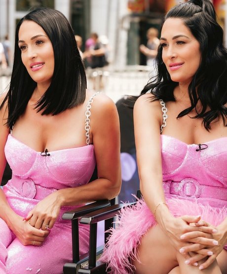 Nikki Bella pornstar top archive