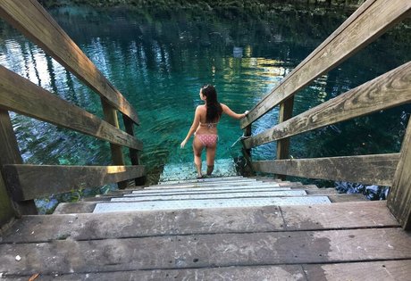 bbw fat ass onlyfans pornographic archive