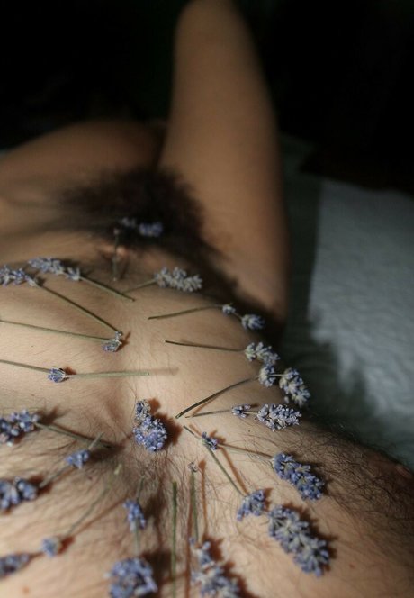 EroicaForest free star images