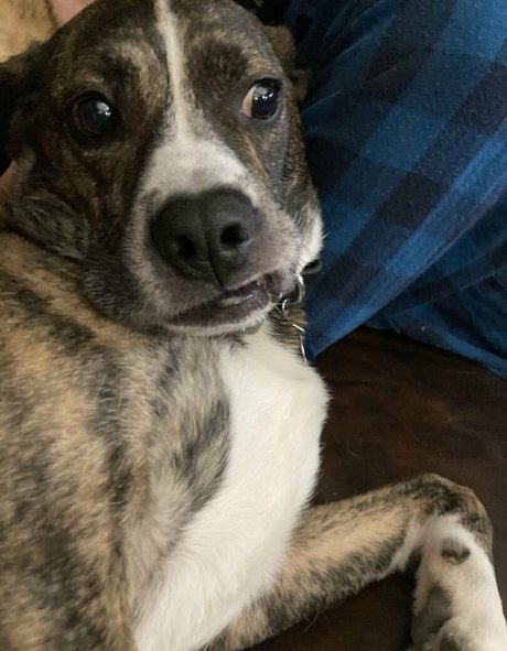 bridgetblack high quality actress images