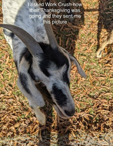 cheerleader nude onlyfans sexy naked archive