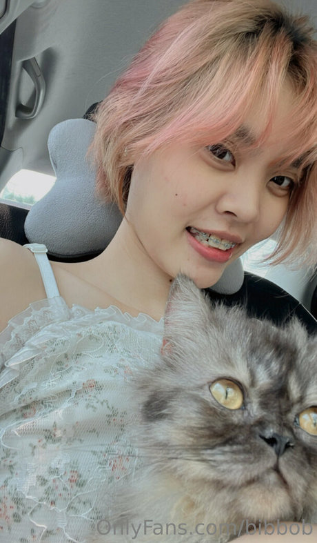 bibbob pornstar nudes galleries