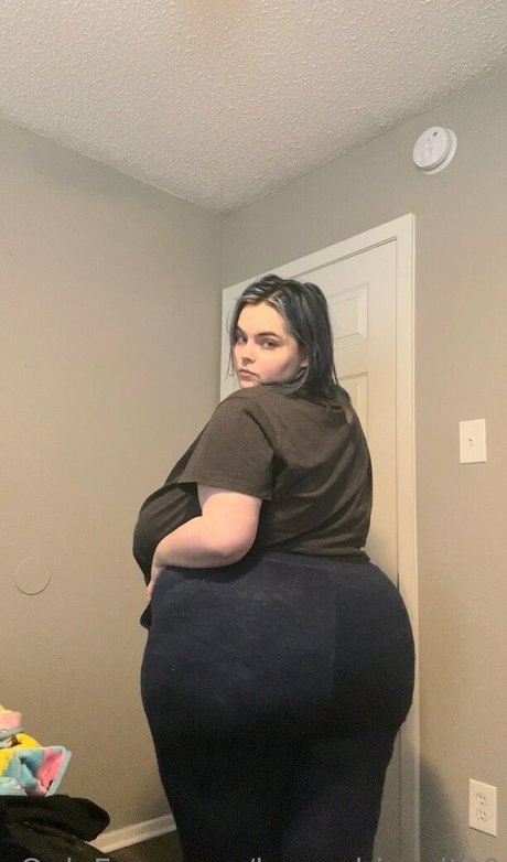 honeybiscuit20 model art image