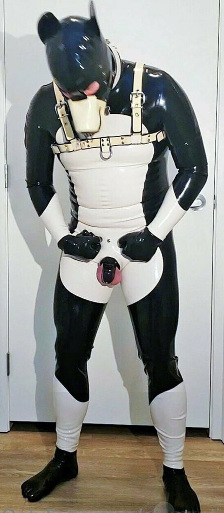 skystudios42 model free photo