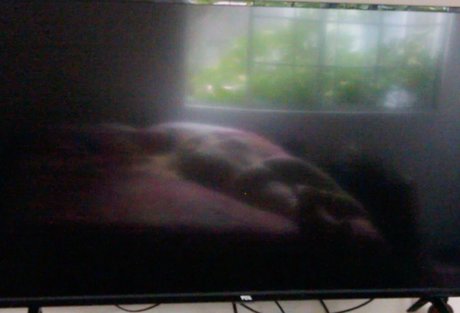 blackbloodridge erotic actress galleries