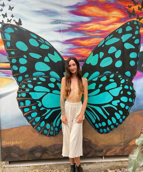 Ryflyz model hd gallery