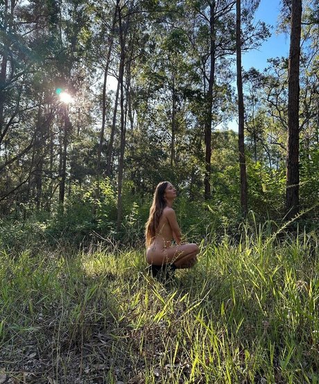 Ryflyz art star archive