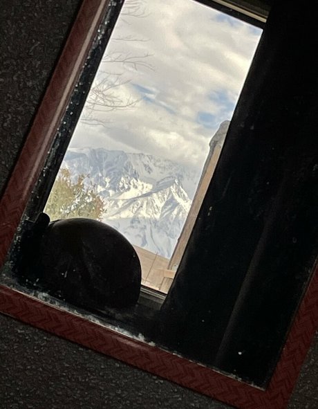 femboy xxx onlyfans naked img