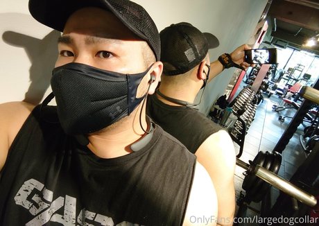 largedogcollar high quality pornstar images