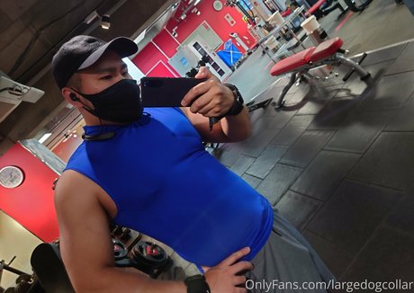 largedogcollar nudes pornstar pic