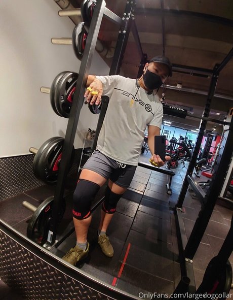 largedogcollar pornstar nice gallery