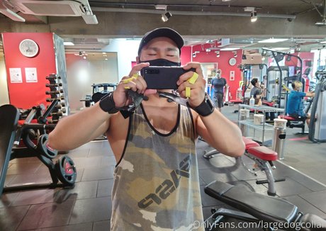 largedogcollar high quality actress gallery