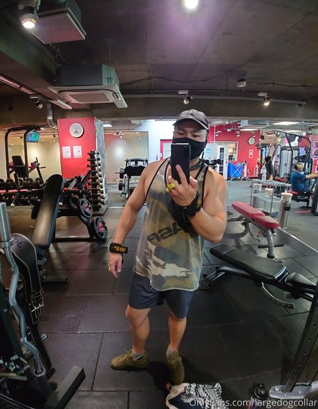 largedogcollar pornographic actress picture