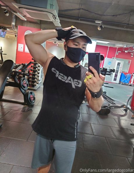 largedogcollar Quick model image