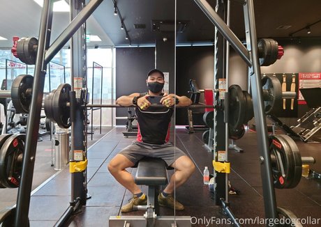 largedogcollar high quality actress pic