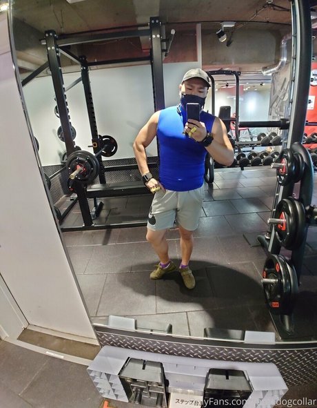 largedogcollar porn star gallery