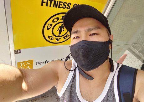 largedogcollar exclusive star gallery