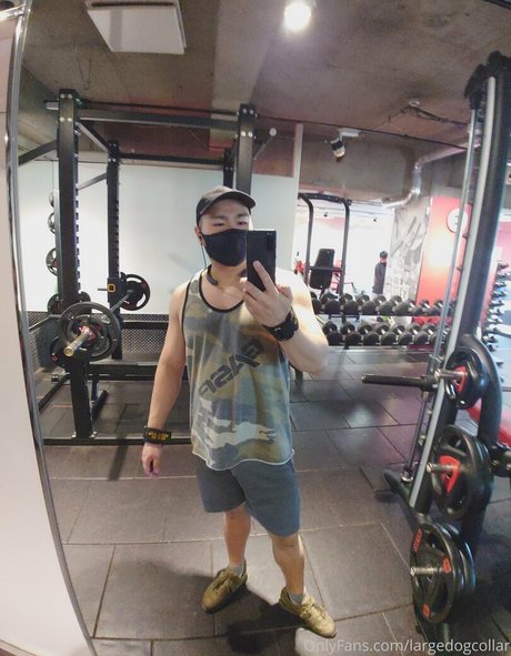 largedogcollar porn star gallery