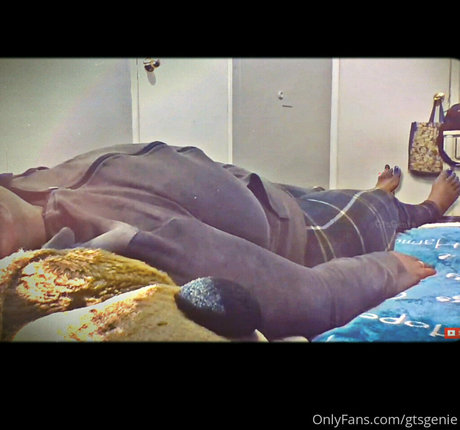 gtsgenie model nice img