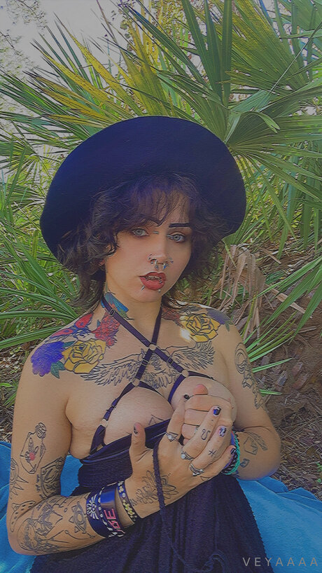 Veyavilla star art photo